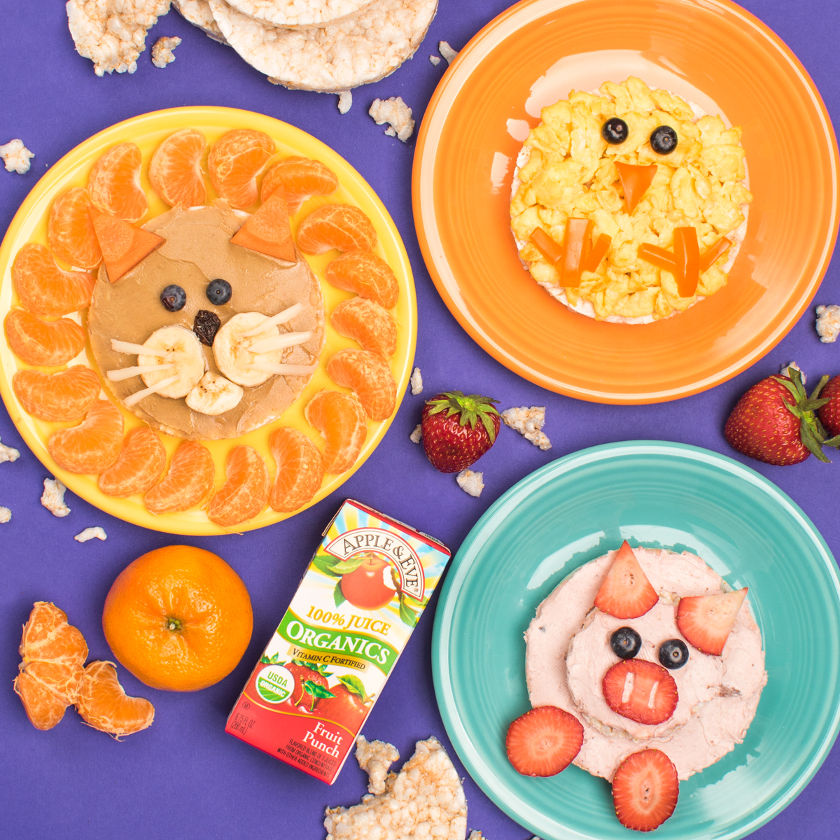 Apple & Eve Recipes Apple & Eve Animal Rice Cakes